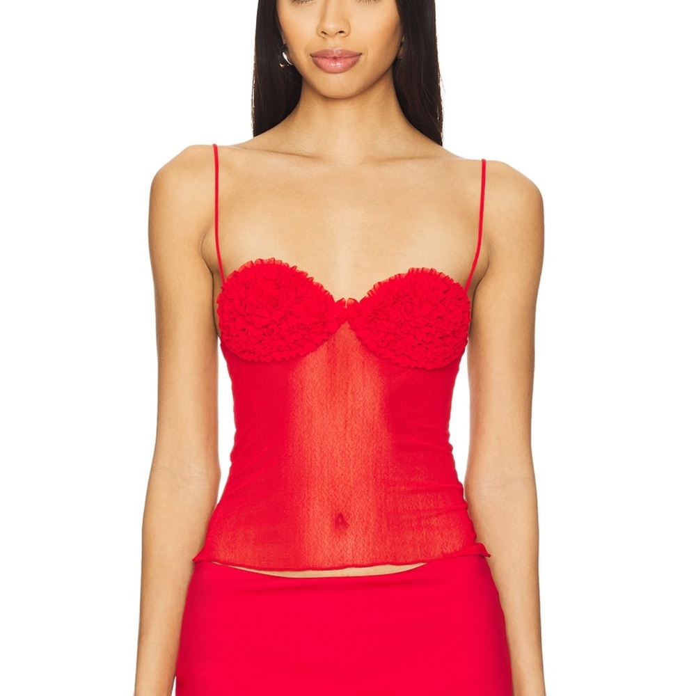 Lovers & Friends sheer red tank top